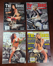 Lot of 11 The Horse Backstreet Choppers Magazine 2015-2017 Chopper picture