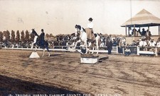 Goshen Indiana Elkhart County Fair Trained Horses Equestrian RPPC Postcard 1911 picture