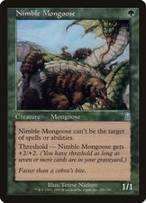 Nimble Mongoose (258) picture