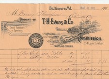 Baltimore MD  1900 Billhead    T. H. Evans & Co., Wholesale Fruit & Produce picture