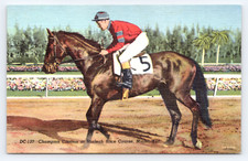 c1950 Champion Citation Hialeah Race Course Miami FL Postcard Racehorse Jockey picture