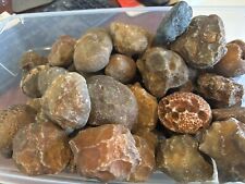 RARE Botswana agate Full Skin Nodules rough 1 pound lots free priority shipping picture