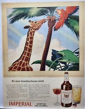 1943 Imperial Hiram Walker Whiskey Giraffe Cockatoo Original Print Ad Life Mag picture