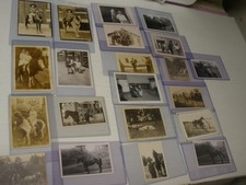 Lot 21  Snapshot vintage Photos Horses , Ponies picture