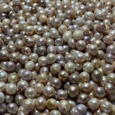 500g Gorgeous 11-15mm South China Sea Natural Shape Purple Pearl Undrilled picture