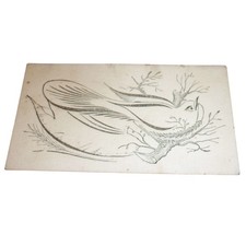 Antique Spencerian Calligraphy Bird Trade Card Victorian Penmanship Ephemera picture