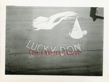 WWII photo- B 24 LIBERATOR Bomber plane NOSE ART - LUCKY DON* picture