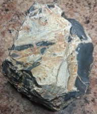 8.06oz Uncut Unpolished Blue Flint Chert Rock Knapping Northwest Georgia picture