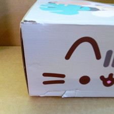 Pusheen Subscription Box Collectable. 2022. Missing Plushie picture