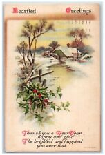 1921 Heartiest Greetings Winter Berries Wolf Clapsaddle Brooklyn NY Postcard picture