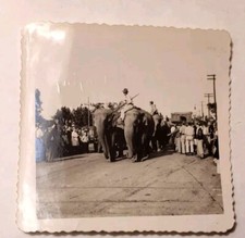 Elmira, NY Ringling Bros Barnum & Bailey Circus  1947 Photos Elephant Trainers  picture