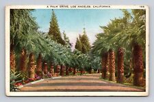 WB Postcard Los Angeles CA California Palm Drive picture