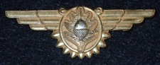 WWII USN Navy Flight Surgeon Badge 