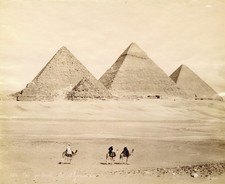 Pyramids of Giza Vintage Camels Classic View Photo Reprint Wall Art picture