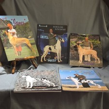 Great Dane Magazines Lot of 5– 