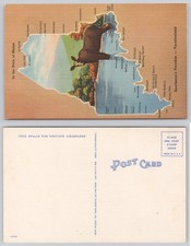 Vintage Maine State Map Moose Postcard 