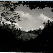 c1940s Iquitos Peru Jungle Amazon Landscape RPPC Photo Antonio Wong Rengifo picture