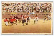 c1940's Opening Ceremony at the Bull Fight Tijuana Mexico Vintage Postcard picture