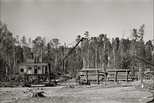 Photo:Effie Minnesota 1937 Timber Loading Railroad Cars Lumber Camp picture
