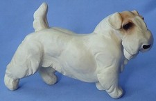 SEALYHAM CESKY TERRIER JAN ALLAN DOG 7