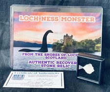 Loch Ness Monster Authentic Loch Ness Rock Scotland picture