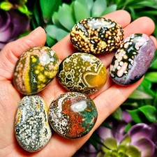 Orbicular Ocean Jasper picture