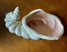 1979 NOWELL’S  White Conch SEASHELL With Pink Gloss Interior - RARE BEAUTY picture