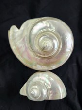 Antique Mother of Pearl Turbo Turban Shell Pedastal Caviar Bowl Dish Vase picture