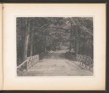 Photo:Purchase New York Ophir Farm Bridge 1895 Rustic Road Whitelaw Reid picture