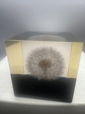 1960s Dandelion Resin Art Paperweight Vintage MCM Shoreline Products 2” Square picture