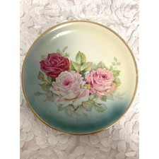 Antique C.T. Altwasser Silesia Hand-Painted 8