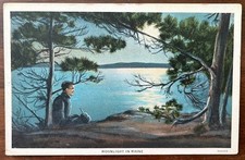MAINE ME~Moonlight over Lake~Pine Trees Man Sitting on Shore~Full Moon~Vintage picture