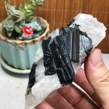 327g Natural Beautiful Black tourmaline Quartz specimen Crystal Healing A6200 picture