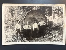 Wesley Andrews RPPC Loggers & 14ft  Log, Coos County OR Coast Hwy Postcard picture