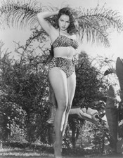 Julie Newmar pin up pose in leopard print bikini circa 1960 Old Photo picture