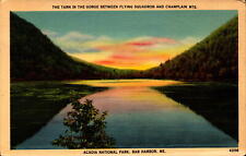 Postcard Tarn in the Gorge Flying Squadron Champlain Mts. Acadia linen picture