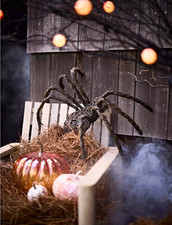 NEW SOLD OUT Anthropologie x Terrain Large Woven Rattan Spider picture