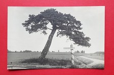 Photo postcard Estonia landscape with signpost near Tallinn around 1925 (35372 picture