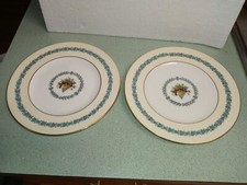 Wedgwood Appledore 8