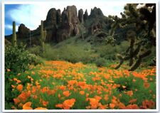 Postcard - Ajo Mountains, Organ Pipe National Monument, Arizona, USA picture