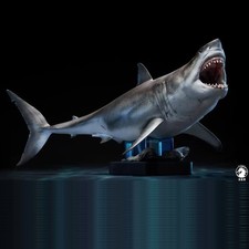 W-dragon Shark Carcharocles megalodon Statue Animal Model Display picture