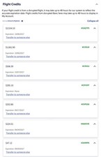 Southwest Airlines Transferable Flight Credit - Fast Transfer picture