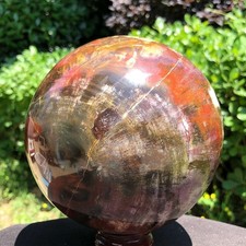 6.86LB Large Natural Petrified Wood Crystal Fossil ball Specimen Healing picture