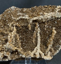 245g RARE Brilliant Petrified Wood - Large Crystals and Lace - UV Reactive picture