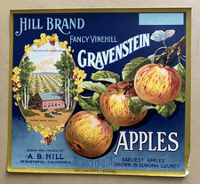 Vintage Hill Brand Gravenstein Apples Crate Box Label Craft Scrapbook Collage picture