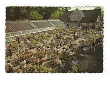 Cranbrook Greenhouse, Bloomfield Hills MI vintage postcard Unposted picture