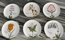 Vintage Edward Lear Nonsense Botany Plates- Set Of 6- NIB Scully & Scully/Japan picture