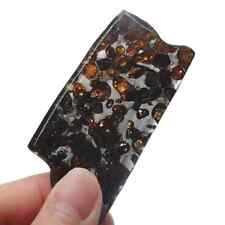 25.8g SERICHO pallasite Meteorite slice - from Kenya TA431 picture
