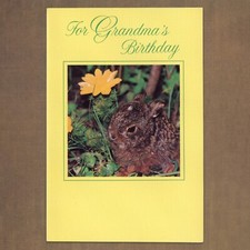 Unused Vintage 1976 American Greetings GRANDMA BIRTHDAY Card, Cute Flower Rabbit picture