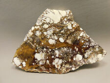 Wild Horse Polished Stone Slab Magnesite Arizona Rock #O10 picture